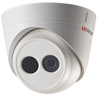 DS-I113 (2.8 mm)