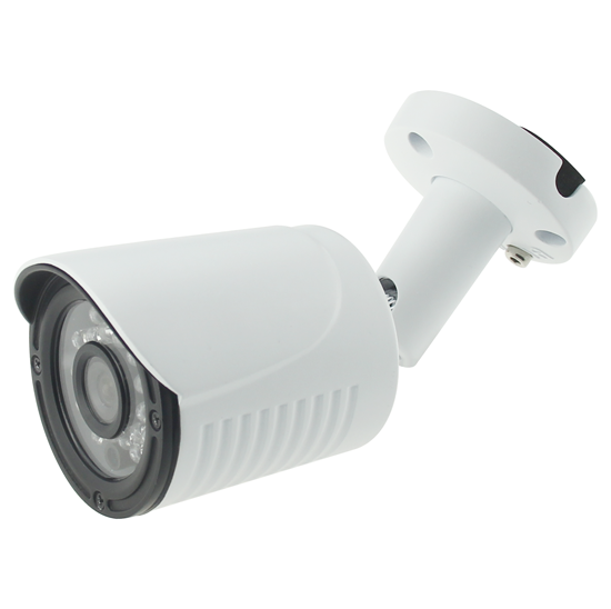 AltCam ICF24IR-2