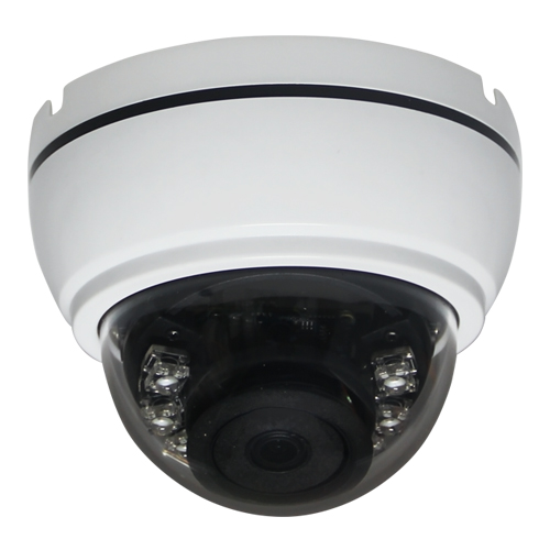 AltCam DDV21IR